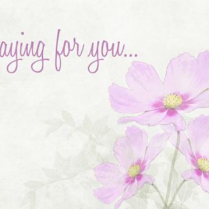 1606 01-04 Beautiful Brushwork