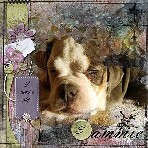 Sammie