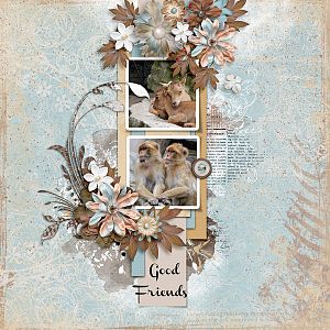 Good Friends