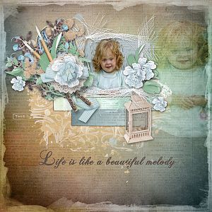 Enjoy the Life
