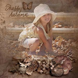 Shabby Autumn