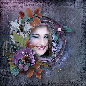 Wonderful Imagination