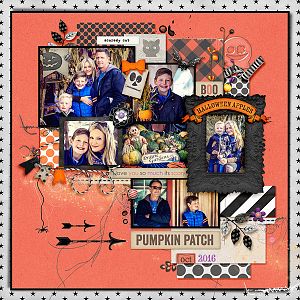 Pumpkin Patch