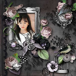 BLACK BEAUTY