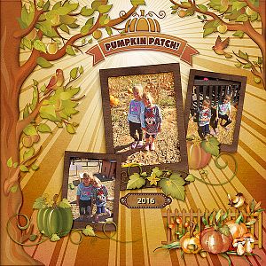 Pumpkin Patch