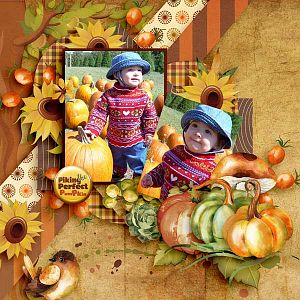 pumpkin-patch-paty-grief-Mi