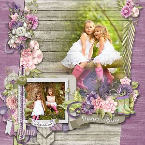 Flower fairies