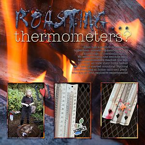 Roasting Thermometers