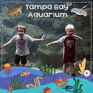 tampa-bay-aquarium