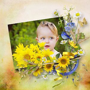 Field of Sunflowers