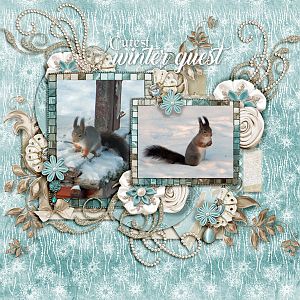 Cutest-winter-guest