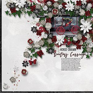 Horse-Drawn Doctor's Carriage