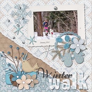 Winter Walk