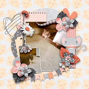 Cat N Mouse