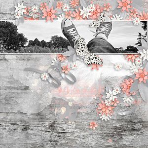 DitaB Designs - White Night