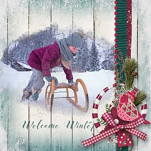 welcome winter