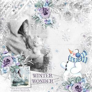 Winter Wonder