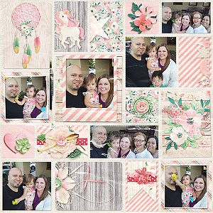 Love of a Family