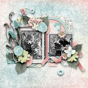 Little Spring