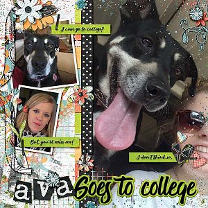 Ava Goes to College