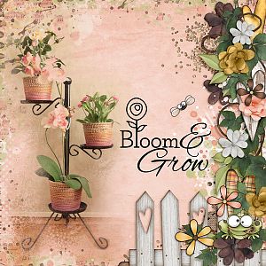 Bloom and Grow