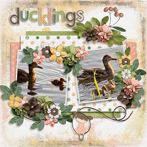 Ducklings