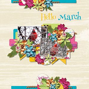 Hello March