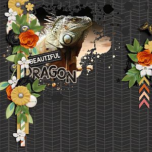 Beautiful Dragon