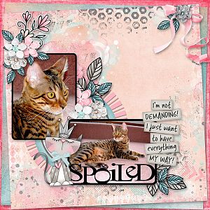 spolied