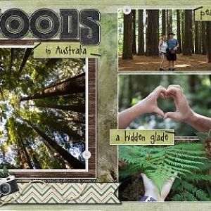 Redwoods1