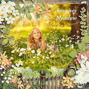 Summer Meadow