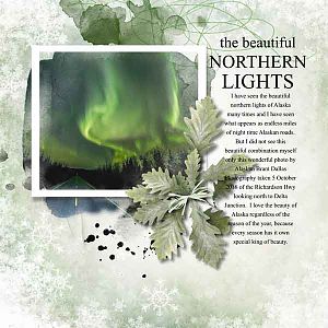 The Beautiful Northern Lights