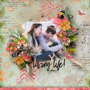 Vero-wingthings-HSA-ETMweb