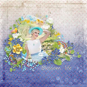 blossom-life