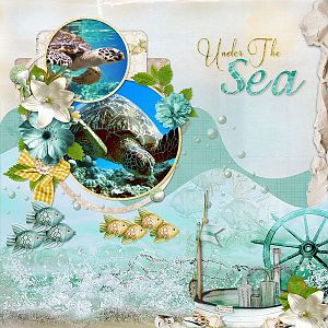 Ocean View - KRE