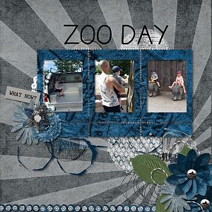 A Day at the Zoo