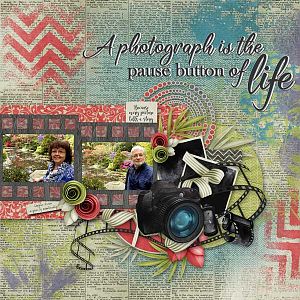 Snapshot of Life