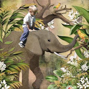 jungle-in-my-heart