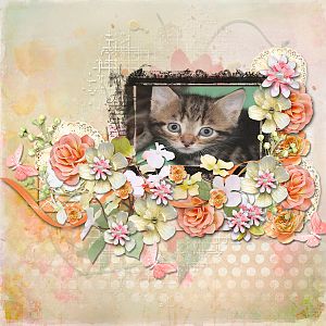Sweetness