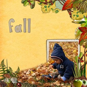 Fall