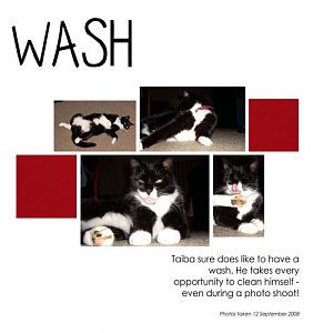 Wash