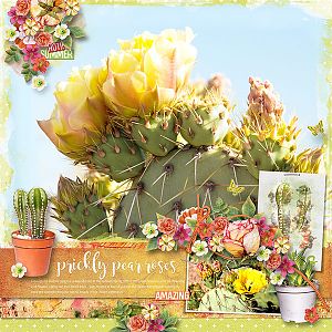 PRICKLY PEAR ROSES