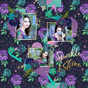 Sparkel and Shine