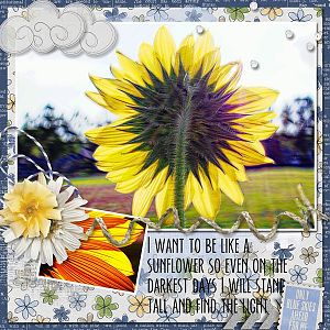 Nothing But Blue Skies