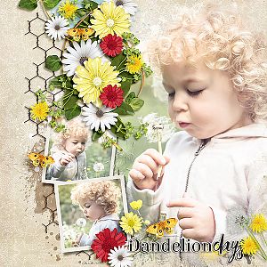 Dandelion Days