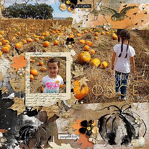 At the Pumpkin Patch