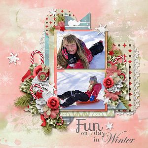 Fun Day In Winter