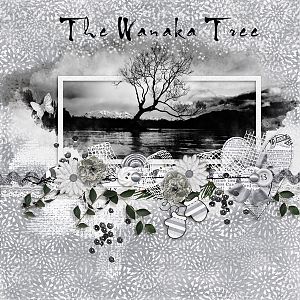 The Wanaka Tree