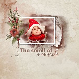 The Smell Of A Miracle