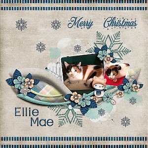 Merry Christmas Ellie Mae